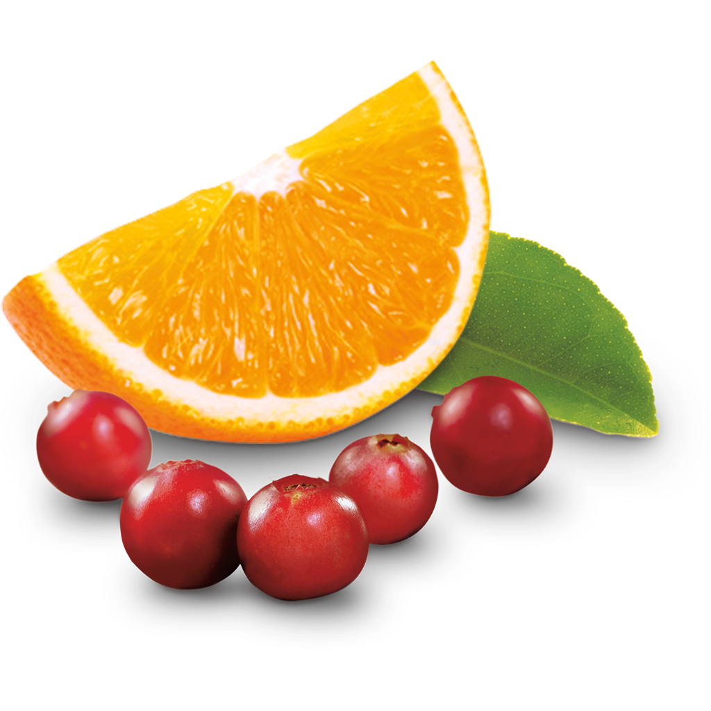 Cranberry Orange Tart