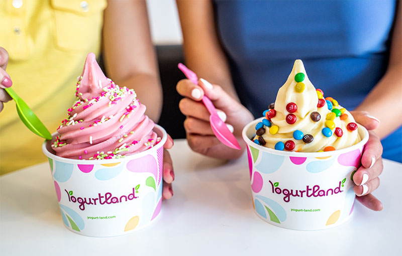 Two cups of Yogurtland frozen yogurt with candy toppings.