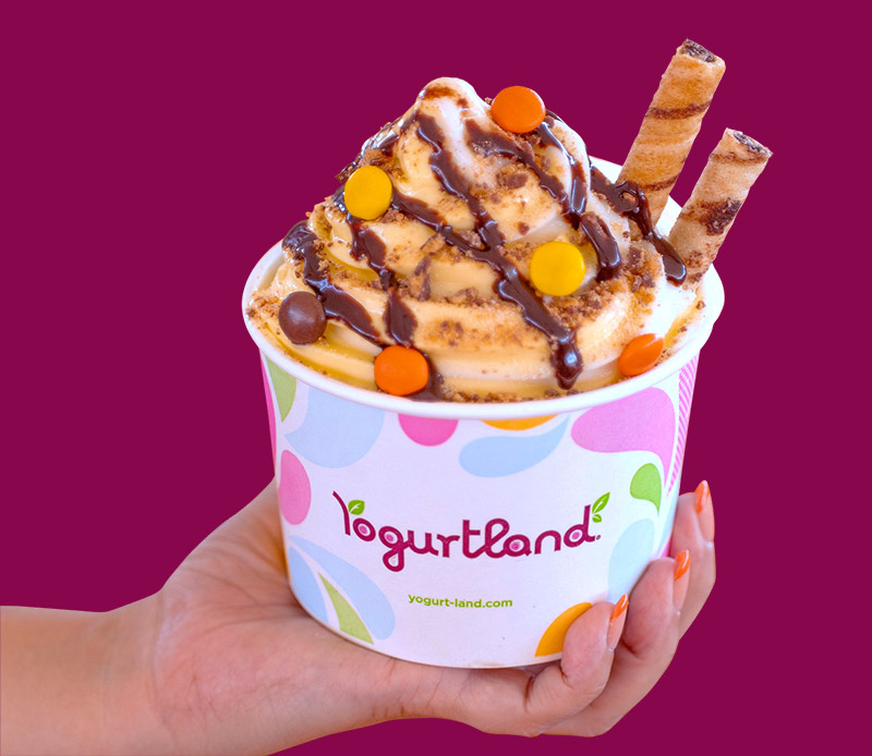 A hand holding a bowl of Yogurtland frozen yogurt with chocolate and cookie toppings
