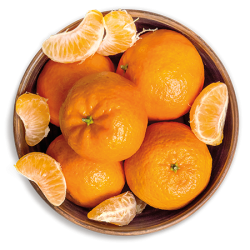 Citrus C Sorbet