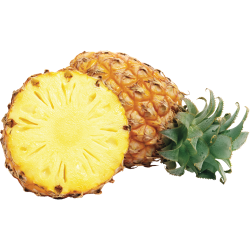 Pineapple Sorbet