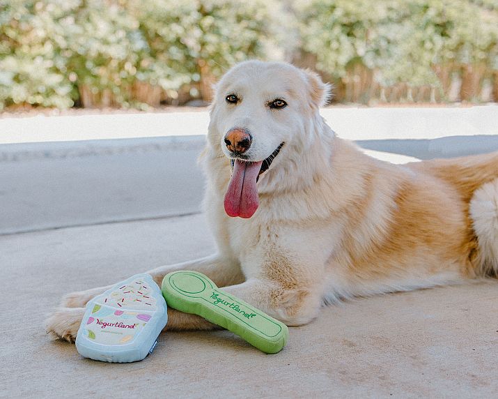 Yogurtland Launches Wag-worthy Pet Toy Collection in Celebration of National Dog Day